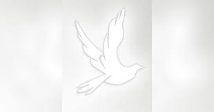 Image result for "Ellen Roper"