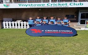 Image result for Bronwydd Cricket Club