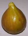 Figs: picking tips, facts and recipes: Great things to make from ...