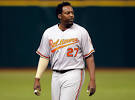 Image Vladimir Guerrero Designated Picture