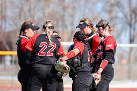 Image result for Dragons Softball Club