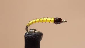 Attēlu rezultāti vaicājumam “Chironomidae larvae”