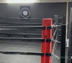 Image result for JTT Muay Thai