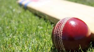 Image result for Much Wenlock Cricket Club