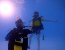 Image result for Aquanauts Dive Centre Sunderland