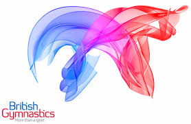 Image result for Gatwick Flyers Trampoline Club