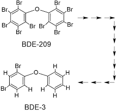 Image result for site:net pino◆MatthewZ8E