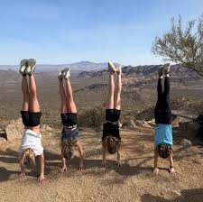 Image result for Horizon Team Gym Club