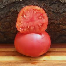 Afbeeldingsresultaat voor stump of the world tomato