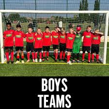 Image result for Netherne Community Amateur Sports Club