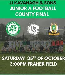 Image result for Shamrocks Hurling & Football Club