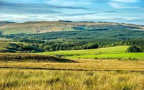 Image result for Ribble Valley Crc
