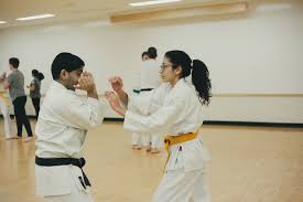 Image result for Uwe Karate Club