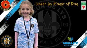 Image result for Fleur De Lys Football Club