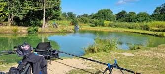 Image result for Addlestone Angling Society