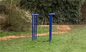 Image result for Elthorne Cricket Club