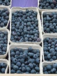 Attēlu rezultāti vaicājumam “Vaccinium myrtillus fruit”