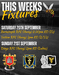 Image result for Yatton R F C