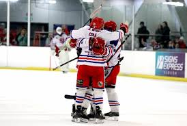 Image result for Streatham Youth Ice Hockey Club