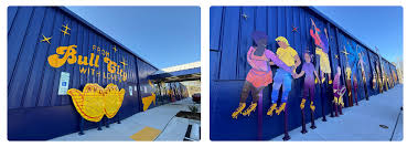 Image result for Durham District Rollerskating Club