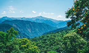 Výsledek obrázku pro yungas