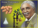 Social Studies Games - Inventors - GEORGE WASHINGTON CARVER Jigsaw ...