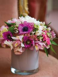 Image result for Anemonenarten