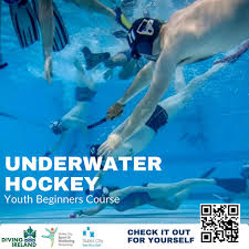 Image result for Dublin Underwater Hockey Team