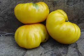 Afbeeldingsresultaat voor cabin tomato