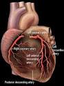 Coronary Arteries
