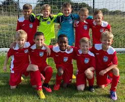 Image result for Walton & Hersham Football Club