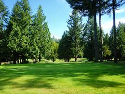 Image result for Delphi Bowls Club