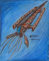 Attēlu rezultāti vaicājumam “Endoceras”