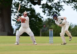 Image result for Portland Red Triangle Cricket Club