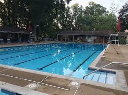 Image result for Selby Tiger Sharks Swimming Club