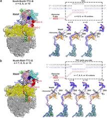 Image result for The 3E`s Ttc