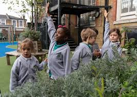 Image result for Gayhurst Primary school Oware Club