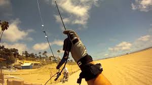 Image result for Baiter Power Kite