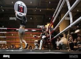 Image result for Allstars Kickboxing