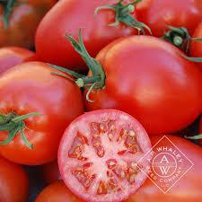 Afbeeldingsresultaat voor amish paste tomato