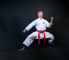 Image result for Martial Arts University Charlotte