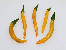 Afbeeldingsresultaat voor thai yellow hot pepper