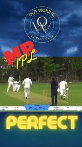 Image result for Old Woking Cricket Club