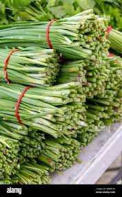 Attēlu rezultāti vaicājumam “Allium schoenoprasum fruit”