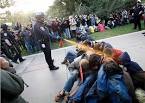 Police Pepper-Spray Seated Protesters At UC Davis [