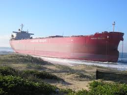 Image result for Pasha bulker