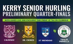 Image result for Causeway Hurling Club