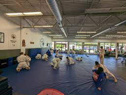 Image result for Halewood Inclusive Judo Club