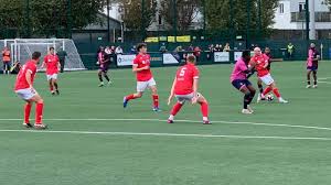 Image result for Whyteleafe Netball Club