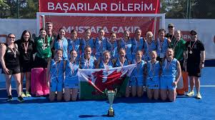 Image result for Cardiff Comets Ladies Ice Hockey